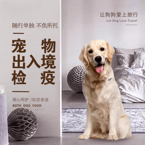静海区宠物托运到哥伦比亚猫狗宠物入境规定和