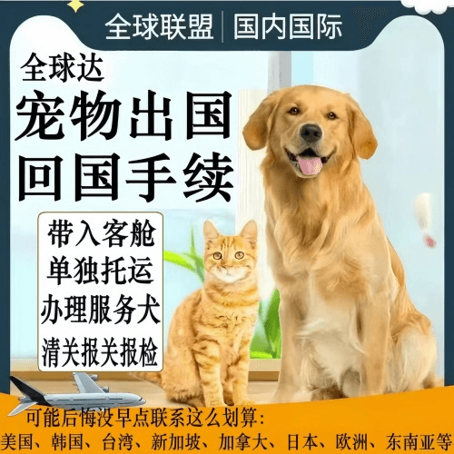 静海区宠物托运到柬埔寨宠物入境规定和要求