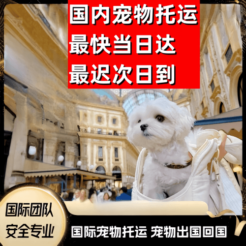 静海区到澳大利亚（澳洲）宠物入境规定和要求