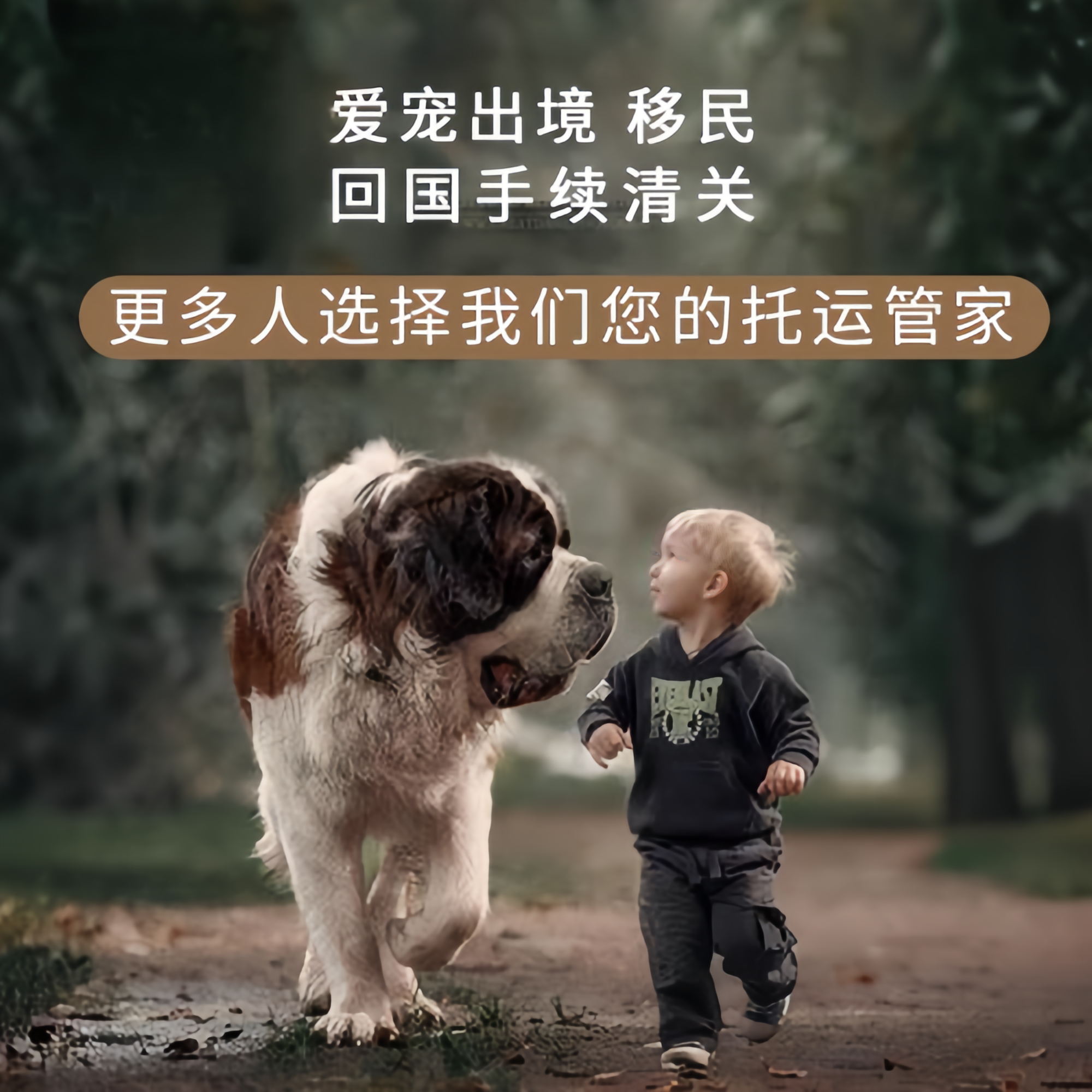 满财静海区宠物全球达宠物托运在遵守入境目的地政策的条件