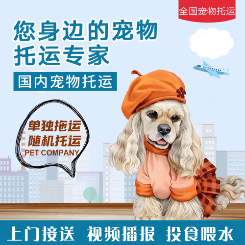 满财静海区宠物全球达宠物托运作为专业的宠物运输代理机构